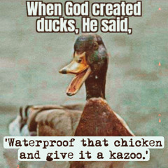 Waterproof that chicken and give it a kazoo