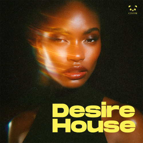 レコードセット 事後 Desire house disco trance セット Listen to Desire House by Studio Tronnic in Studio Tronnic
