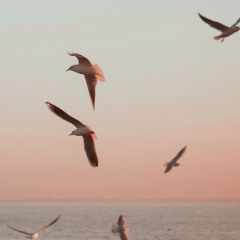 ‎⁨سورة الكهف | اسلام صبحي