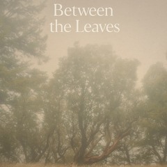 Between The leaves