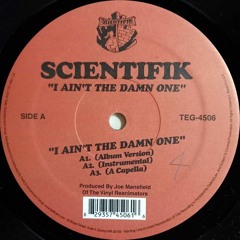 I Ain't The Damn One |Raw Remix|