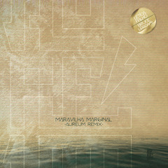 Letícia Fialho, Bruce Leroys - Maravilha Marginal (Aureum radio edit)