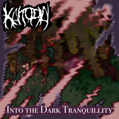 Into the Dark Tranquillity