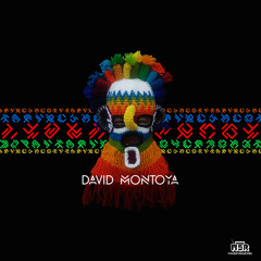 Episode 311 David Montoya
