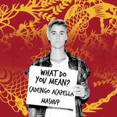 What Do You Mean (DJ Cadengo 'Florian's Fav' 2k20 Mashup) - Justin Bieber vs. Florian Picasso