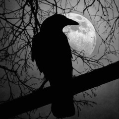 The Act of Destruction, 1999.