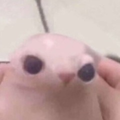 บะหมี่เกี๋ยวป๊อกๆ