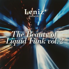 The Beauty Of Liquid Funk Vol.2