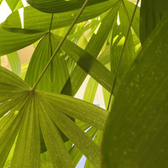 Hymn 605 - My Home is God Himself