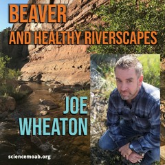 Beaver and Healthy Riverscapes