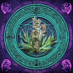 Mugwort (v1)