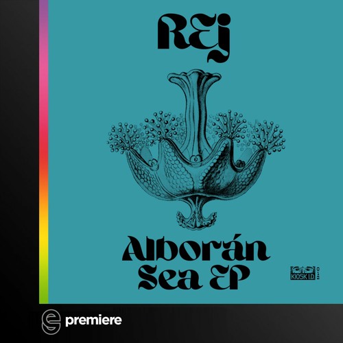 Premiere: REj - Steady Flow - Kiosk I.D