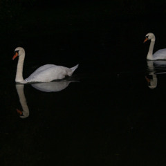 خـذ يا بحر كل ما تـبي