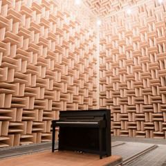 Selmer Signature - George Gershwin - Rhapsody in Blue, Clarinet Solo - Dry