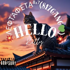 💥λεφτάφέτα⁸¹⁷(817GANG💚)💥 - hello kitty(prod. capsctrl)