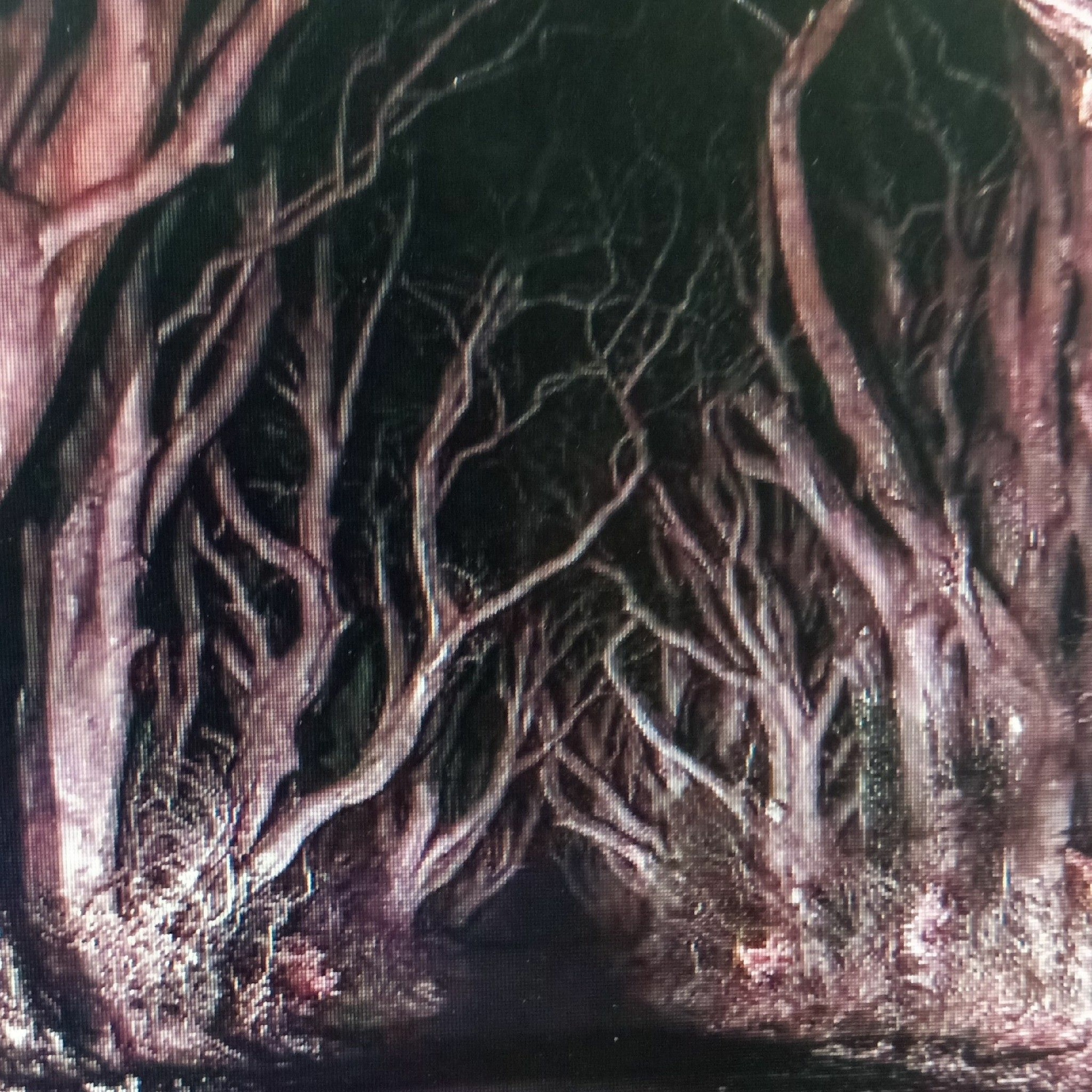 road less traveled episode artwork