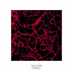 PREMIERE: André Miranda - Dissipação [Collective Details]