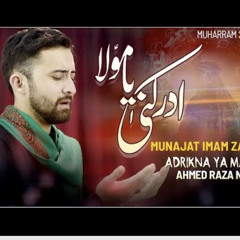Adrikni Ya Mawla~ Ahmed Raza Nasiri Munajate Imam e Zamana