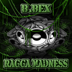 B.BEX RAGGA MADNESS MIX