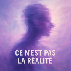 Ce n’est pas la réalité