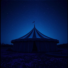 Circus of curiosity