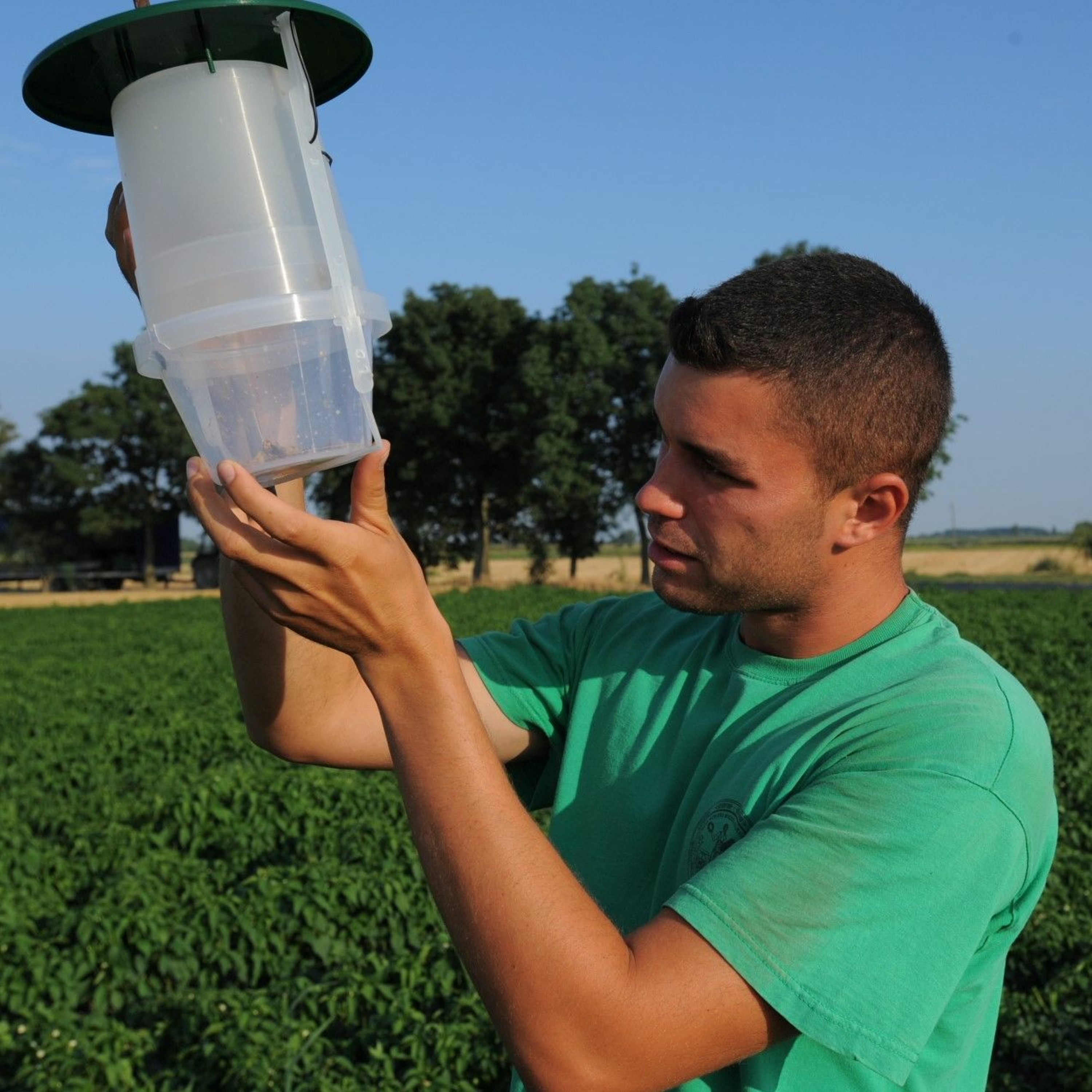 Gumicsizma és Okosteló