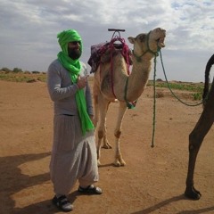 Mes Arabesques du Desert