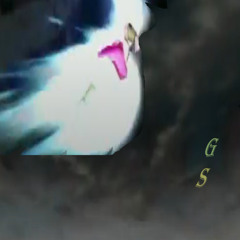 GSong