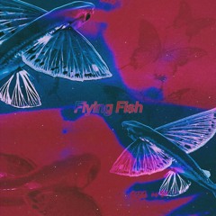 flying fish (beattape)