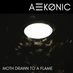 Moth Drawn To A Flame