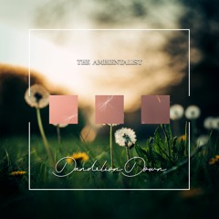The Ambientalist - Dandelion Down