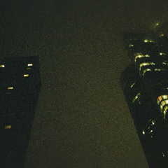 they could be starlings