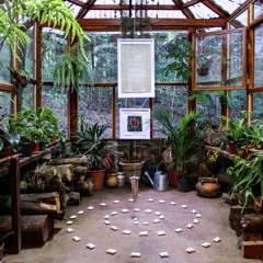 The Garden