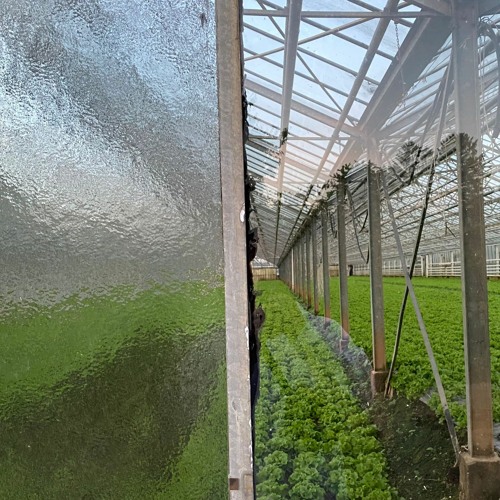 Knight of The Jaguar Hardtechno Bootleg