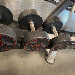 fitnessdronninga.mp3