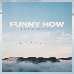 Funny How (feat. Ebba Erixon)