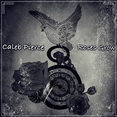 Roller Coaster (feat. Ms.Chemist)