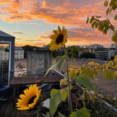 Lorsh - Rooftop Recording End Of Summer 2022