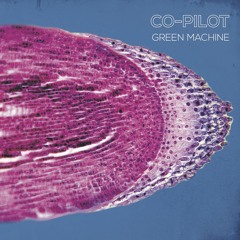 PREMIERE: CO-PILOT - Halo [NewInterplanetaryMelodies]