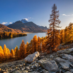 Joos T. - My Favorit Sunday Podcast #015