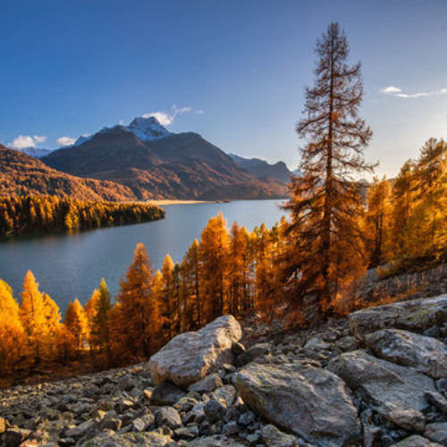 Joos T. - My Favorit Sunday Podcast #015