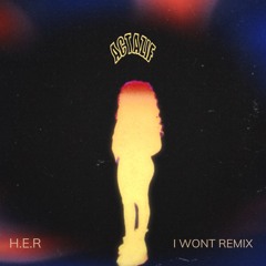 I Won't Remix