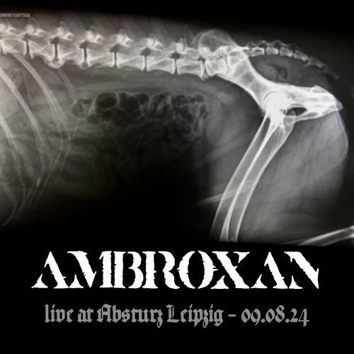 AMBROXAN - live at Absturz Leipzig 09.08.24
