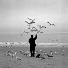 Alone with the birds