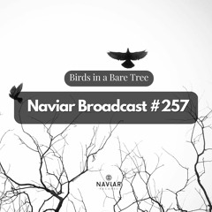 Naviar Broadcast #257 – Birds in a bare tree – Wednesday 1st March 2023