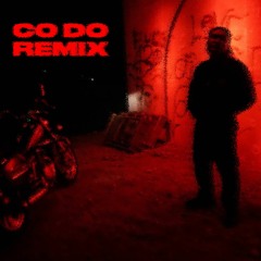Co Do - Chiennhatlang Remix