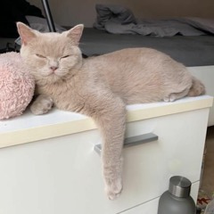 kälter (prod. Luke)