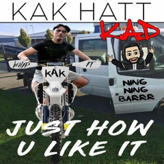 Just How You Like It - Kat Hatt & K.A.D (AshK Drum and Bass Bootleg)