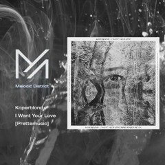 PREMIERE: Koperblond - I Want Your Love [Prettemusic]