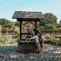 Wishing Well